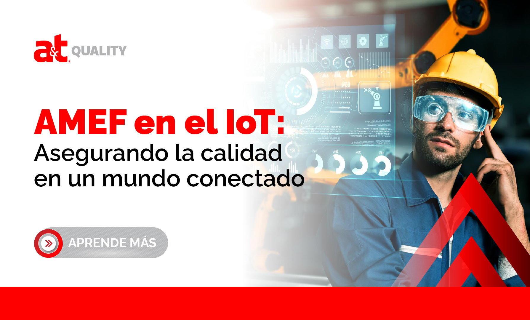 AMEF en el IoT